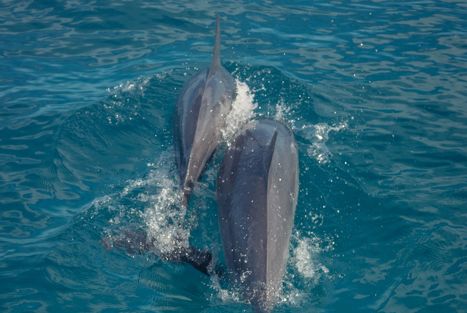 Off the Hook Adventures